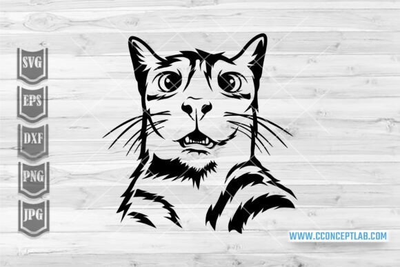 Funny Cat Shock Face Svg Review for Embroidery Projects